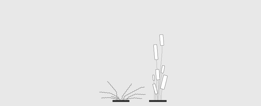 Urpflanze
